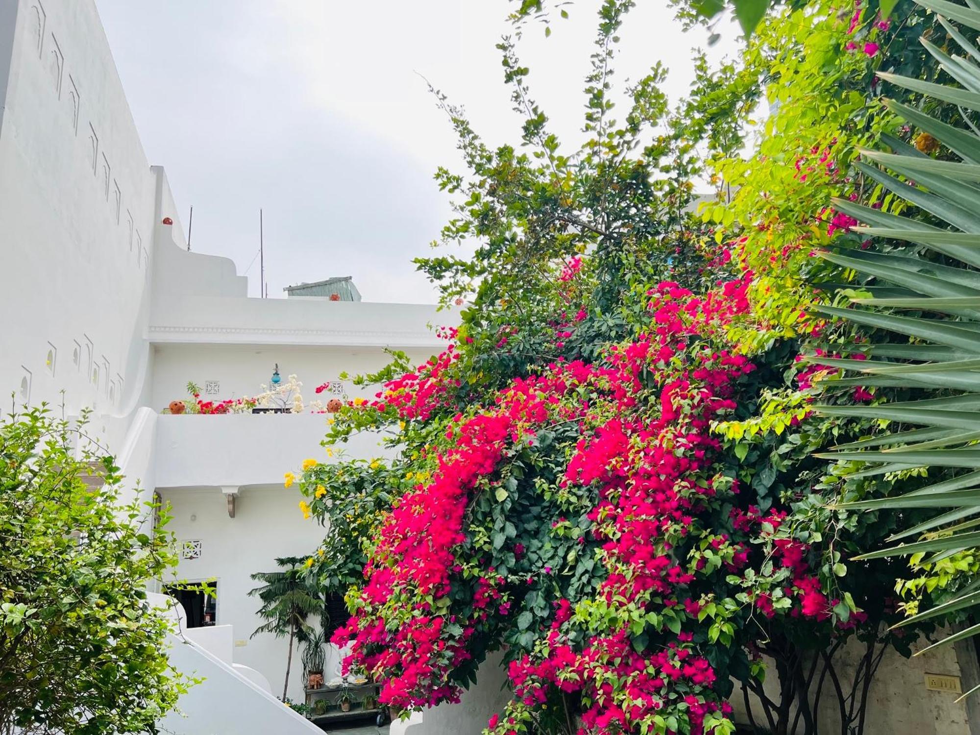 Mosaics Guest House Jaipur Exterior photo