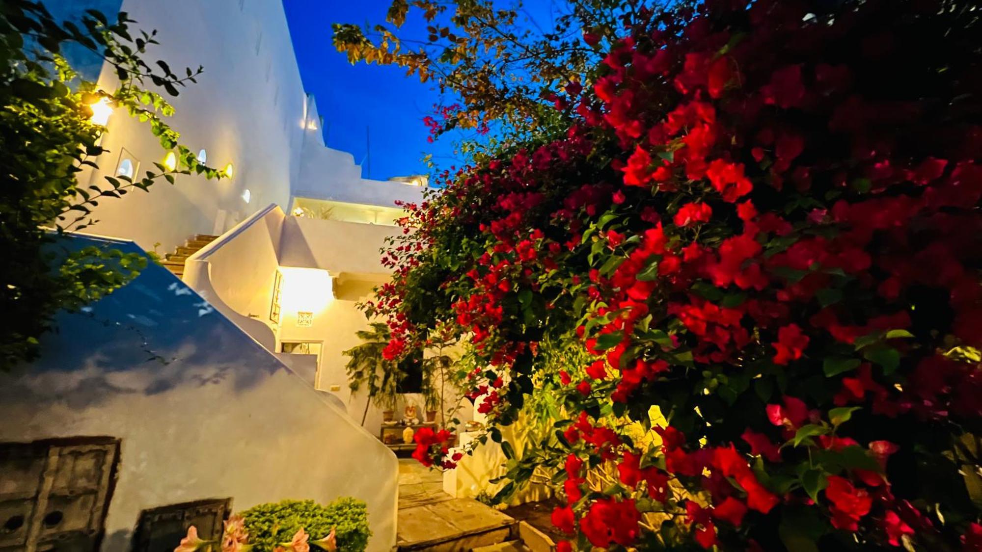 Mosaics Guest House Jaipur Exterior photo